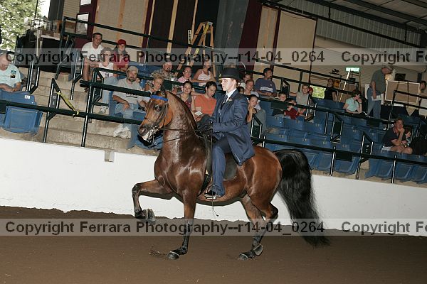 Proof Number r14-04_0264